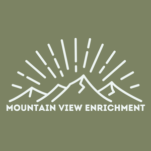 Mountainview Enrichment Program